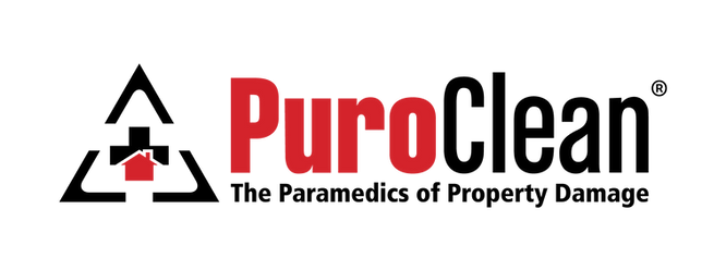 Puroclean Graphics PuroClean: A Comprehensive Guide to Franchise Opportunities and ...